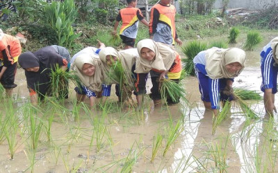 Musim Tandur 2020