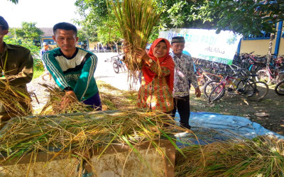 Musim Tandur 2019